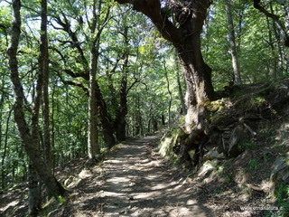 Malabotta Patriarchi
